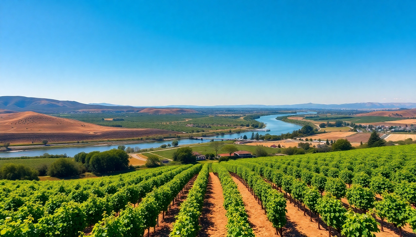 Visit Carksburg CA's beautiful vineyards and river views in this scenic aerial landscape.